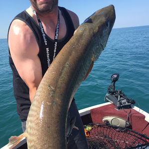 Meet your Posher, Matt